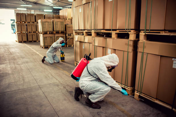 Best Best Pest Control Companies  in Gustine, CA