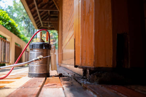 Best Local Pest Control Services  in Gustine, CA