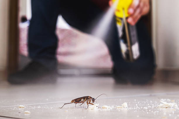 Best Commercial Pest Control Services  in Gustine, CA