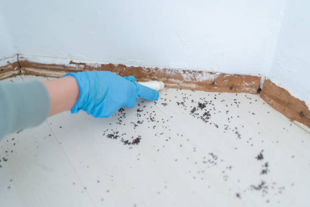 Best Pest Control for Businesses  in Gustine, CA