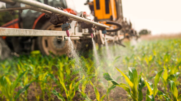Best Mosquito Control Services  in Gustine, CA